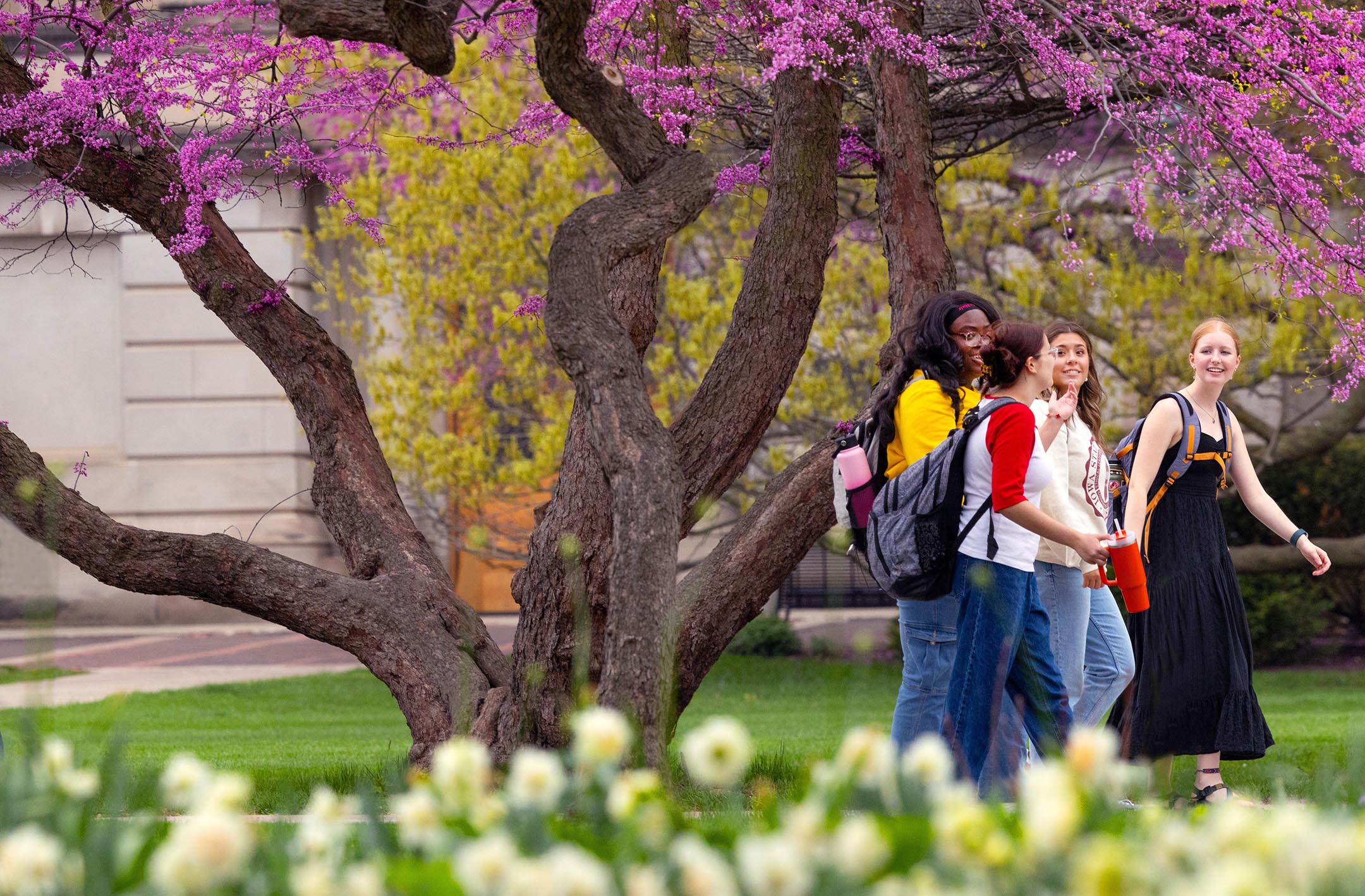 Four students walk on campus surrounded by spring blooms.