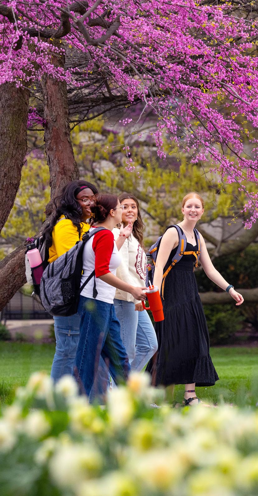 Four students walk on campus surrounded by spring blooms.