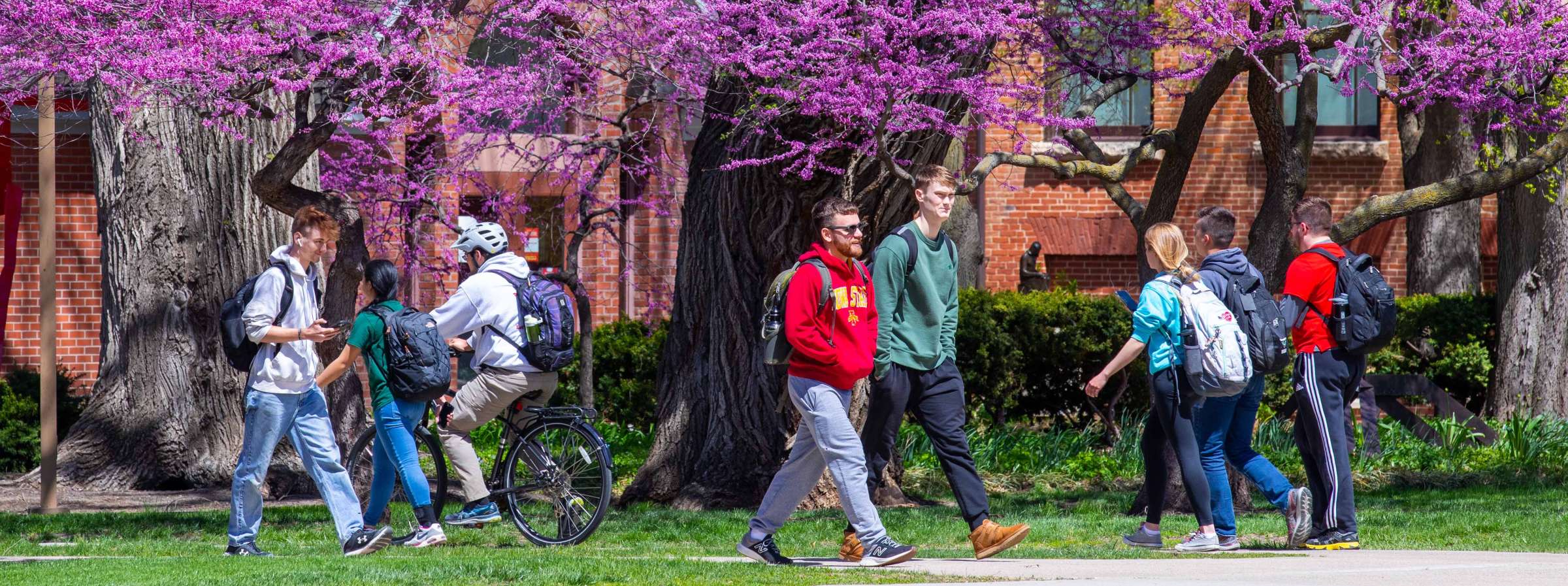 Students walking across campus in the spring