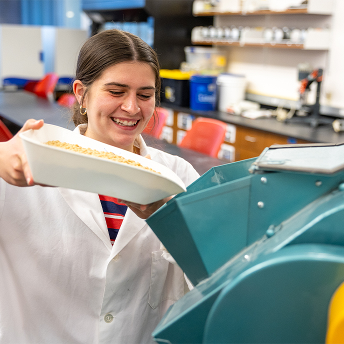 Student processes corn kernels in research lab. 